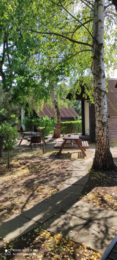 Vila Rybarska Basta Vikletice - Nechranice Kwon Exteriér fotografie